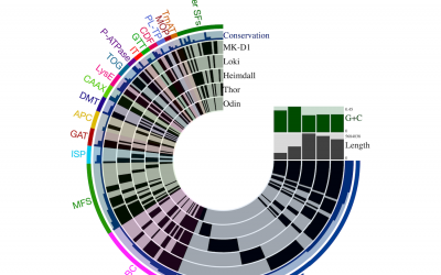 Best bioinformatics figure